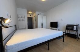 Garsoniera 20 mp, pet friendly, zona strazii Migdalului