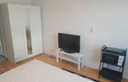 Garsoniera, 20 mp, pet friendly, zona strazii Migdalului
