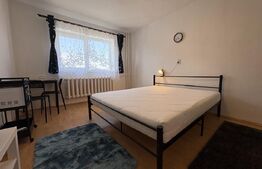 Garsoniera 20 mp, pet friendly, zona strazii Migdalului