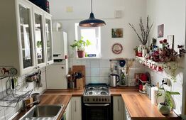 Apartament in vila cu gradina propie de 139 mp - Andrei Muresanu, Piata Engels