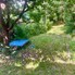 Apartament de vânzare 3 camere Andrei Mureşanu - 199459AV - Poza 6 din 9 | BLITZ Cluj-Napoca | Poza8