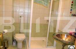 Vanzare casa individuala 419 mp utili, cu piscina, foisor, gradina amenajata