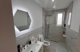 Casă modernă cu 4 dormitoare, 3 băi, locuință sau sediu firmă, Dezmir