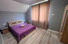 Casă modernă cu 4 dormitoare, 3 băi, locuință sau sediu firmă, Dezmir