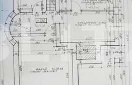 Casa individuala in zona Gradinii Botanice cu 500 mp teren