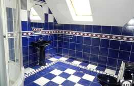 Inchiriere casa, zona Calea Turzii, 300 mp utili cu 500 mp teren