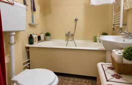 Apartament 2 camere - zona Gemenii 
