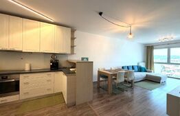 Apartament 2 camere modern, 58 mp, Pet friendly,  Platinia Manastur