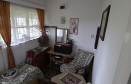 Teren 10.000 mp, cu 2 case, de vacanta, zona Măguri-Răcătău