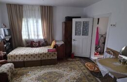 Teren 10.000 mp, cu 2 case, de vacanta, zona Măguri-Răcătău