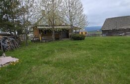 Teren 10.000 mp, cu 2 case, de vacanta, zona Măguri-Răcătău
