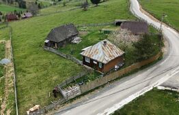Teren 10.000 mp, cu 2 case, de vacanta, zona Măguri-Răcătău