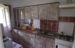 Teren 10.000 mp, cu 2 case, de vacanta, zona Măguri-Răcătău