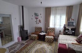 Teren 10.000 mp, cu 2 case, de vacanta, zona Măguri-Răcătău