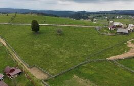 Teren 10.000 mp, cu 2 case, de vacanta, zona Măguri-Răcătău