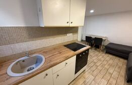 Apartament 2 camere, 45 mp, parcare, zona străzii Decebal