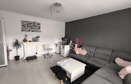 Apartament cu 2 camere, 2 parcari, curte+foisor