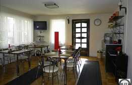 Casa, 720 mp pentru pensiune sau sediu de firma!