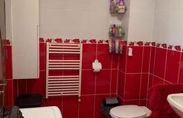 Apartament 3 camere, 59 mp, 2 balcoane, etaj intermediar, Florilor