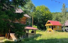 Cabana cu parau si brazi maturi, 1400mp, Valea Fericirii
