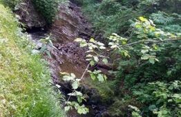 Cabana cu parau si brazi maturi, 1400mp, Valea Fericirii