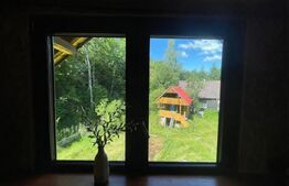 Cabana cu parau si brazi maturi, 1400mp, Valea Fericirii