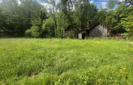 Cabana cu parau si brazi maturi, 1400mp, Valea Fericirii