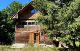 Casa de vânzare 1 camera Dambul Rotund - 18517CV | BLITZ Cluj-Napoca | Poza2