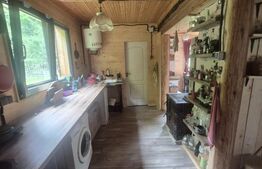 Cabana cu parau si brazi maturi, 1400mp, Valea Fericirii