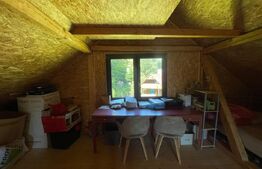 Cabana cu parau si brazi maturi, 1400mp, Valea Fericirii