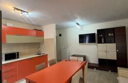 Apartament 3 camere, etaj 1, zona Muzeul Apei