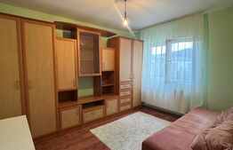 Apartament 3 camere, etaj 1, zona Muzeul Apei