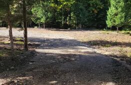 Casă mobilă + teren 1000 mp, în Drăguș, la poalele Munților Făgăraș
