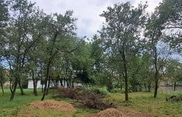 Teren 1300 mp, cu tiny house modernă, în Satul Grid — Țara Făgărașului