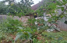 Proprietate cu farmec rural în Beclean, aproape de Făgăraș - Beclean