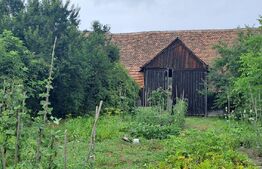 Proprietate cu farmec rural în Beclean, aproape de Făgăraș - Beclean