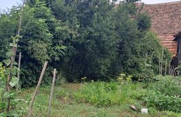 Proprietate cu farmec rural în Beclean, aproape de Făgăraș - Beclean