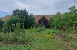 Proprietate cu farmec rural în Beclean, aproape de Făgăraș - Beclean