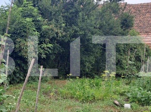 Casa de vânzare 2 camere Beclean - 199728CV | BLITZ Brașov | Poza5