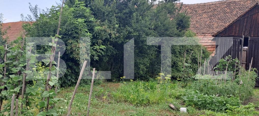 Casa de vânzare 2 camere Beclean - 199728CV | BLITZ Brașov | Poza5