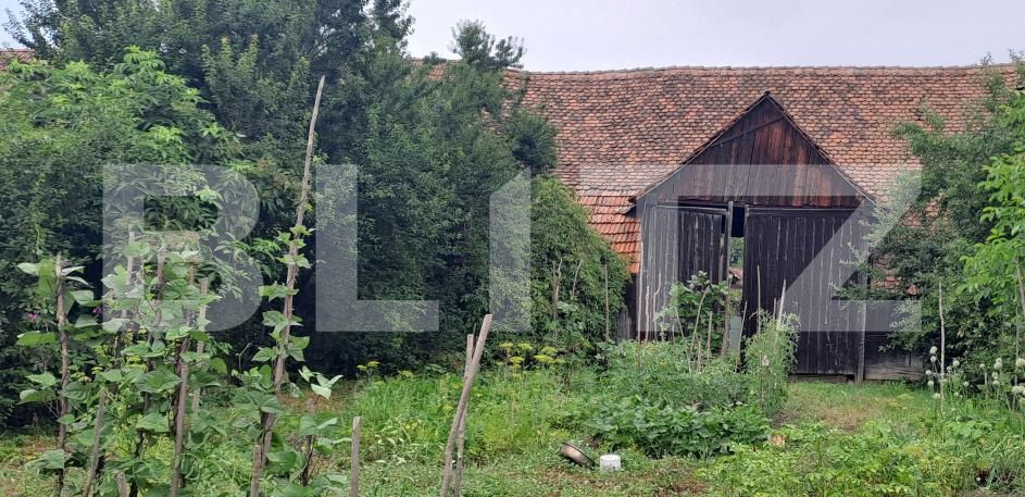 Casa de vânzare 2 camere Beclean - 199728CV | BLITZ Brașov | Poza4
