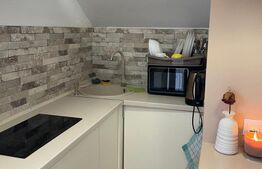 Apartament 26 mp | Între Lacuri | La 5 min de Iulius Mall și FSEGA | Balcon