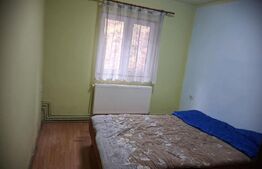 Cabana Muntele Baisorii