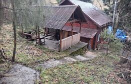 Cabana Muntele Baisorii