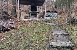 Cabana Muntele Baisorii