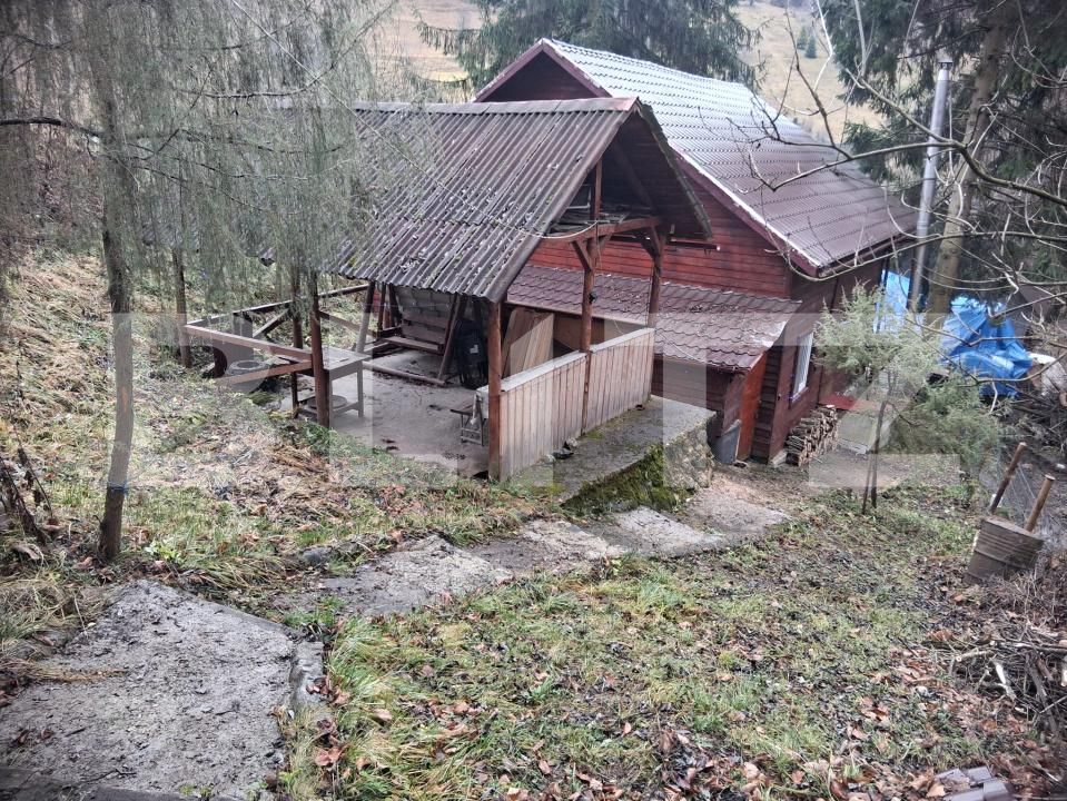 Casa de vânzare 5 camere Muntele Băişorii - 199770CV | BLITZ Cluj-Napoca | Poza12