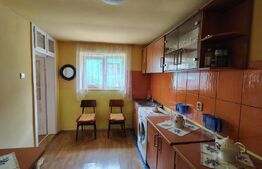 Casă individuală solidă și armonioasă, 55 mp, teren 830 mp, în Suceagu