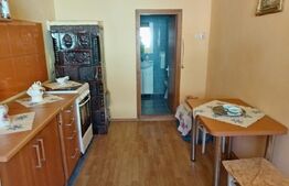 Casă individuală solidă și armonioasă, 55 mp, teren 830 mp, în Suceagu