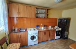Casă individuală solidă și armonioasă, 55 mp, teren 830 mp, în Suceagu