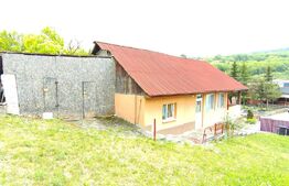 Casă individuală solidă și armonioasă, 55 mp, teren 830 mp, în Suceagu